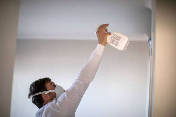 Best Same-Day Mold Removal  in Kaaawa, HI