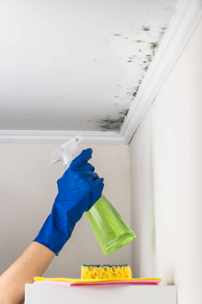 Best Crawl Space Mold Removal  in Kaaawa, HI